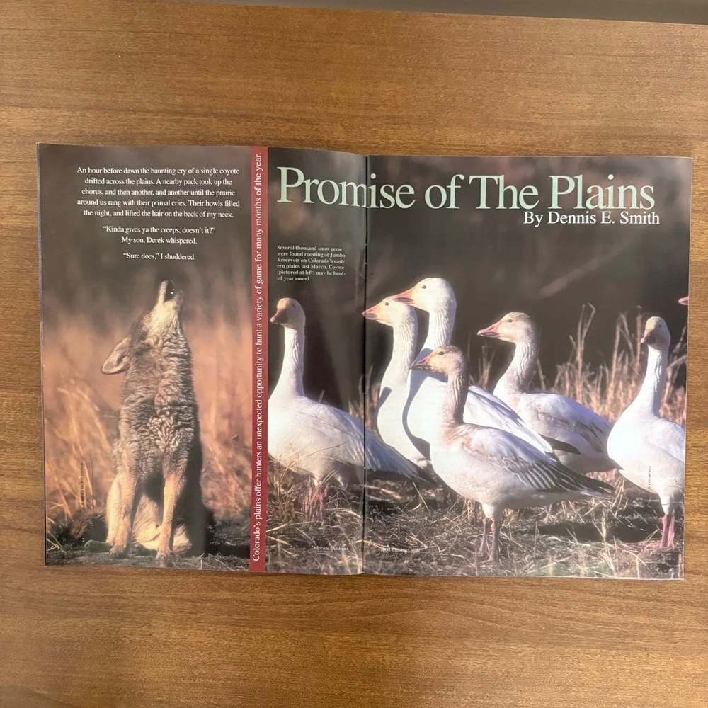 Vintage Colorado Outdoors Magazine 2000 Full Year Set&  Hunting Fishing Guides‎